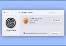 Thegioicongnghe360-install-mac-updates-without-upgrading-to-macos-ventura-2